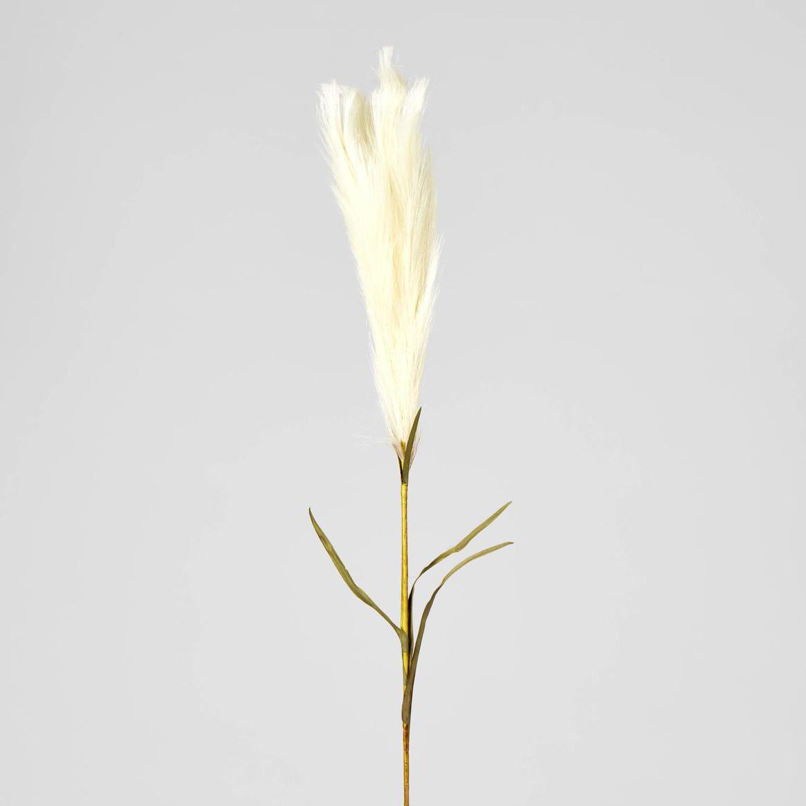 Pampas 3 pcs