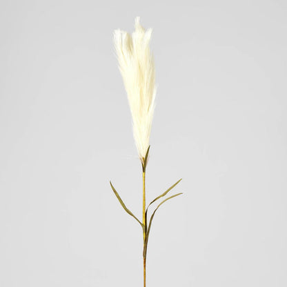 Pampas 3 pcs
