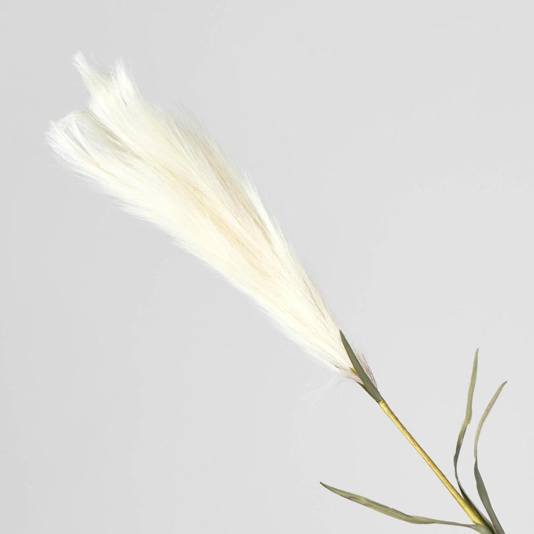 Pampas 3 pcs
