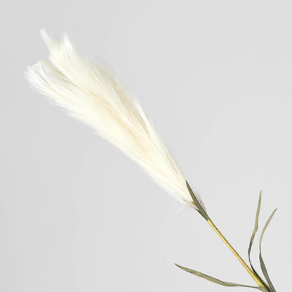 Pampas 3 pcs