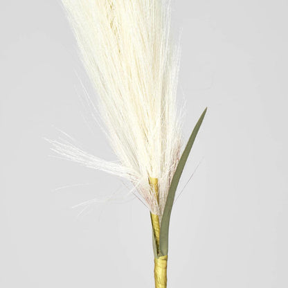Pampas 3 pcs