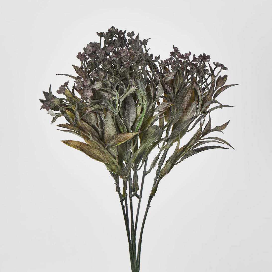 Daisy Bush Mini Black 2 pcs