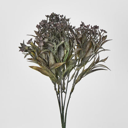 Daisy Bush Mini Black 2 pcs