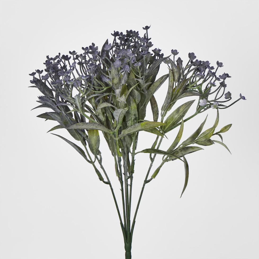 Daisy Bush Mini Purple 5 pcs