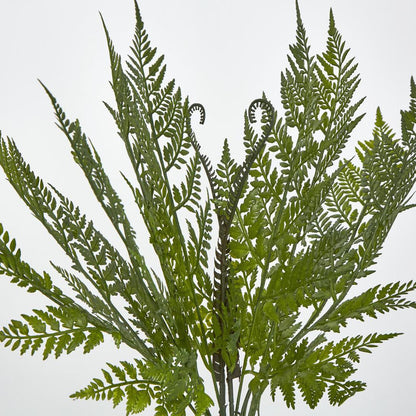 Fern Bush Green 2 pcs