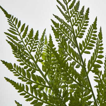 Fern Bush Green 2 pcs