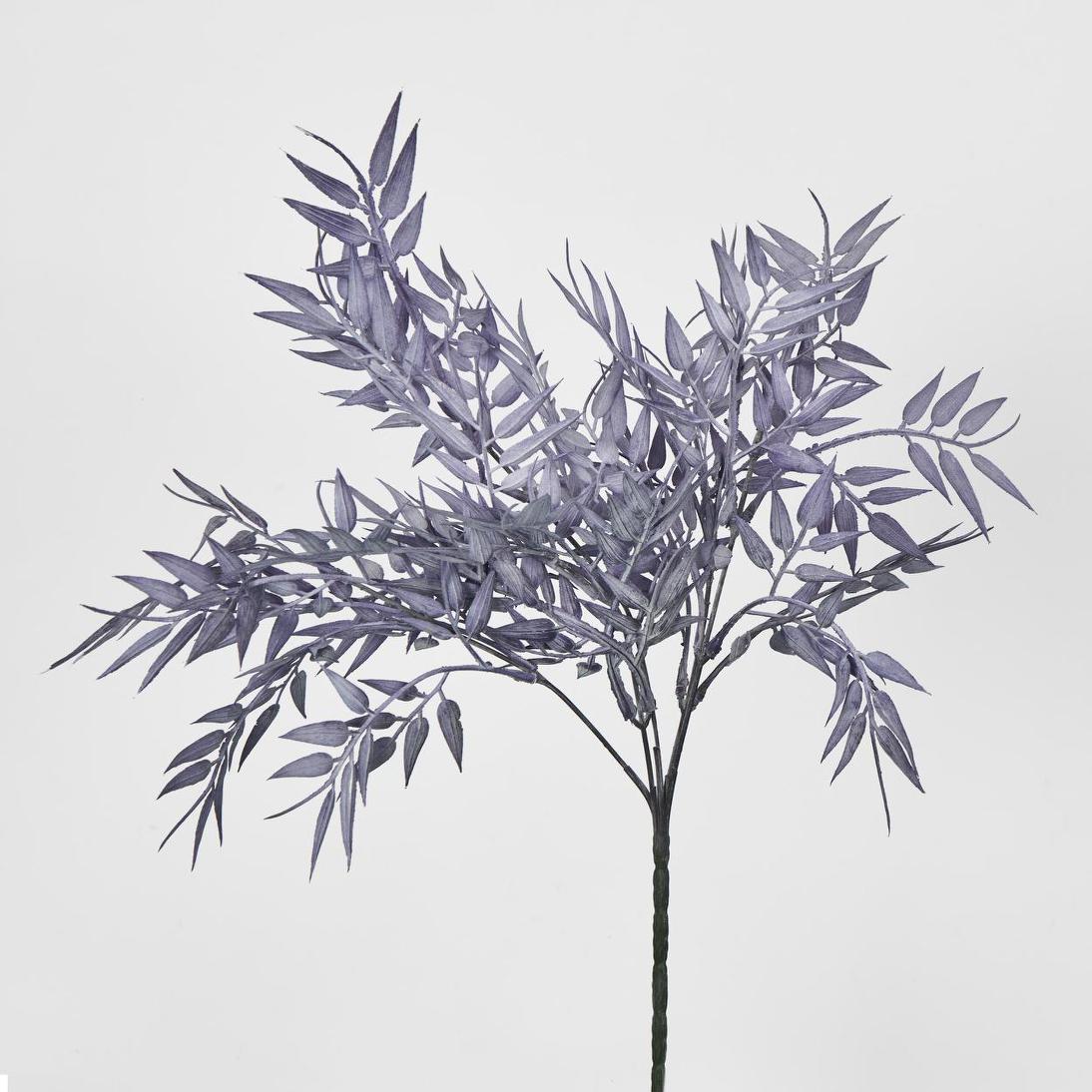 Bamboo Leaf Bush Purple 2 pcs