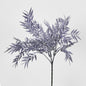 Bamboo Leaf Bush Purple 2 pcs