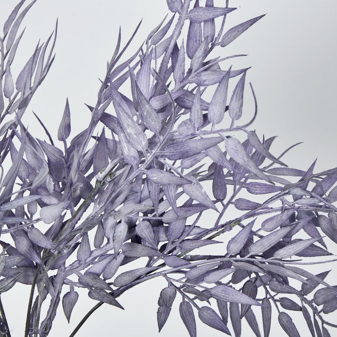 Bamboo Leaf Bush Purple 2 pcs