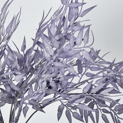 Bamboo Leaf Bush Purple 2 pcs