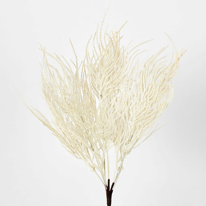 Pampas Grass Seed Spray Cream 2 pcs