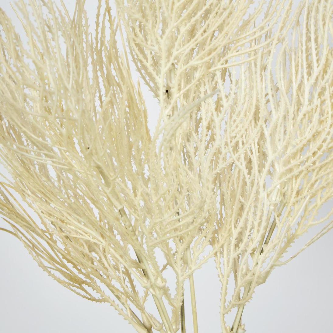 Pampas Grass Seed Spray Cream 2 pcs