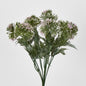 Wild Dandelion Bush x 7 Light Pink 15 pcs