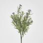 Wild Daisy Bush Purple 12 pcs