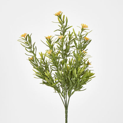 Wild Daisy Bush Yellow 12 pcs