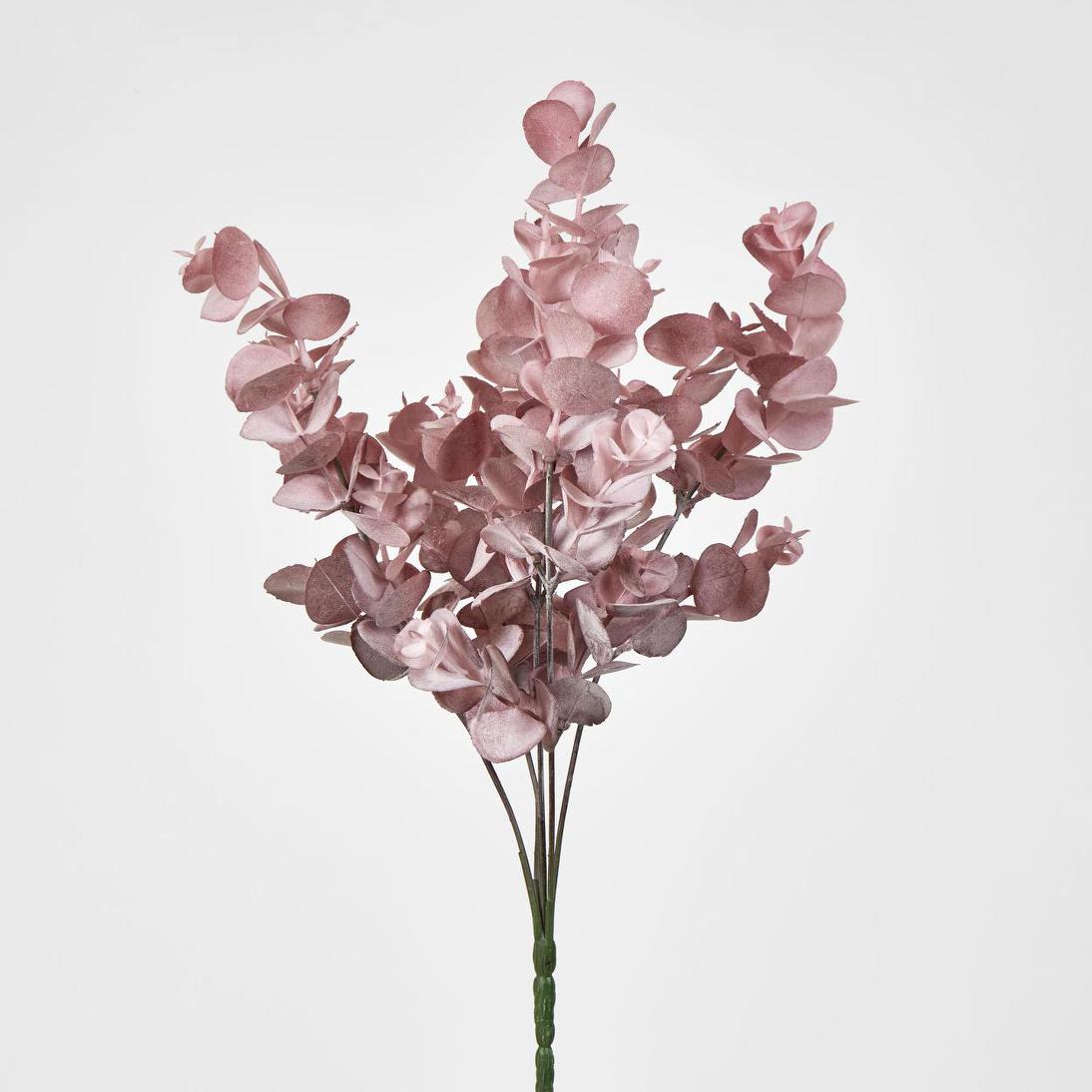 Eucalyptus?Bush Pink 12 pcs