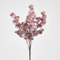 Eucalyptus?Bush Pink 12 pcs