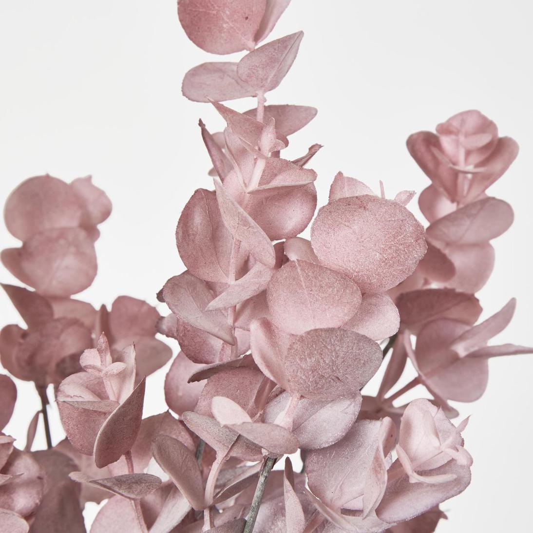 Eucalyptus?Bush Pink 12 pcs