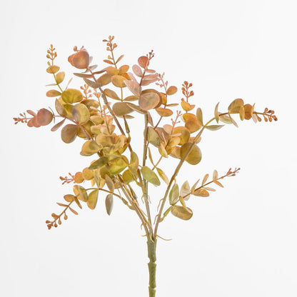 Eucalyptus?Bush Yellow 12 pcs