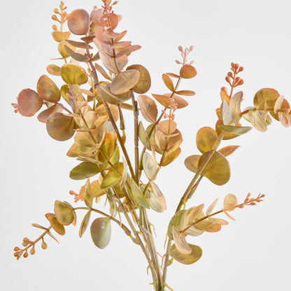 Eucalyptus?Bush Yellow 12 pcs