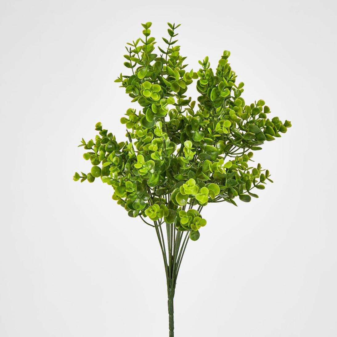 Mini Baby Eucalyptus Bush Green 12 pcs