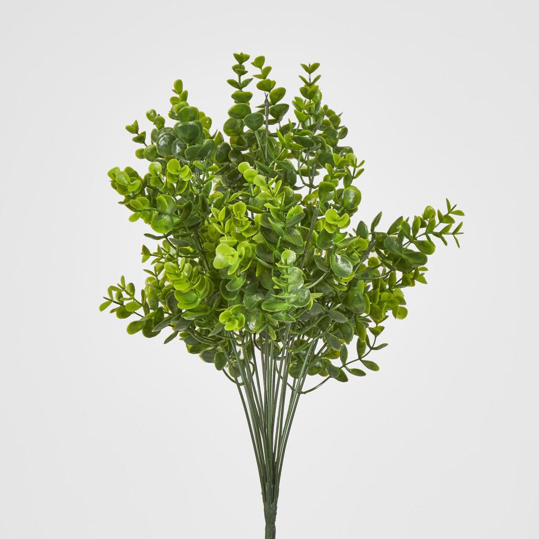 Mini Baby Eucalyptus Bush Green 12 pcs