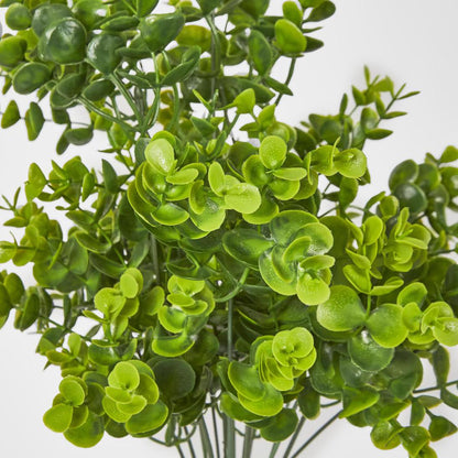 Mini Baby Eucalyptus Bush Green 12 pcs
