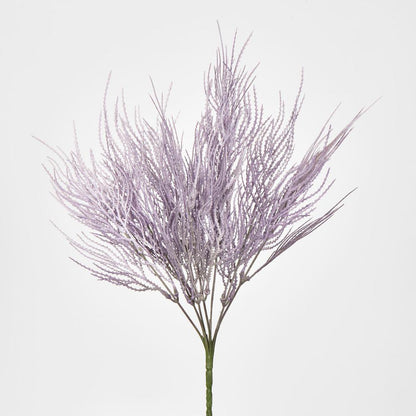 Pampas Grass Bush Purple 12 pcs