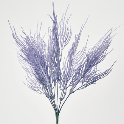 Pampas Grass Bush Purple 12 pcs