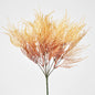 Pampas Grass Bush Orange 12 pcs