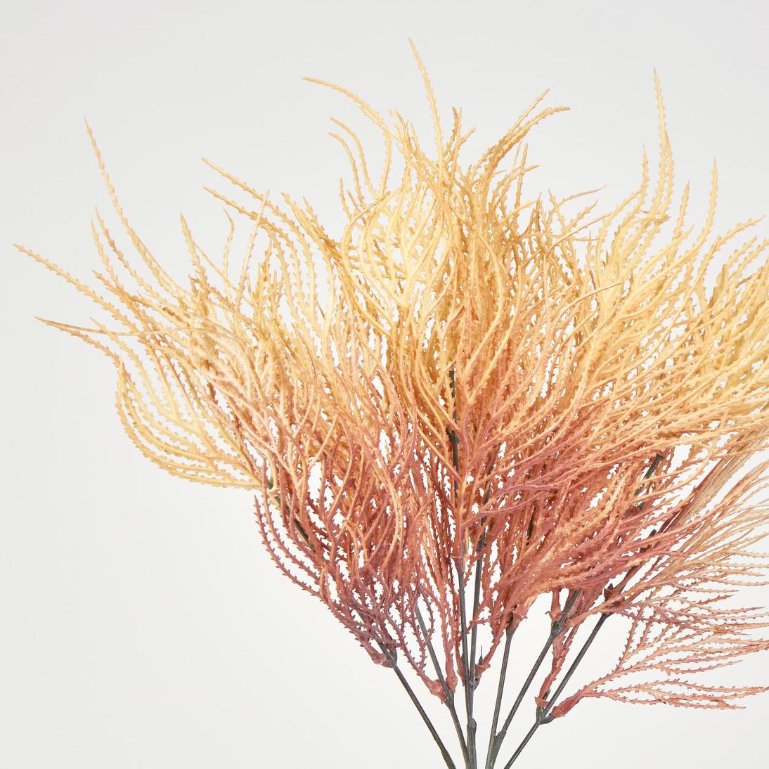 Pampas Grass Bush Orange 12 pcs