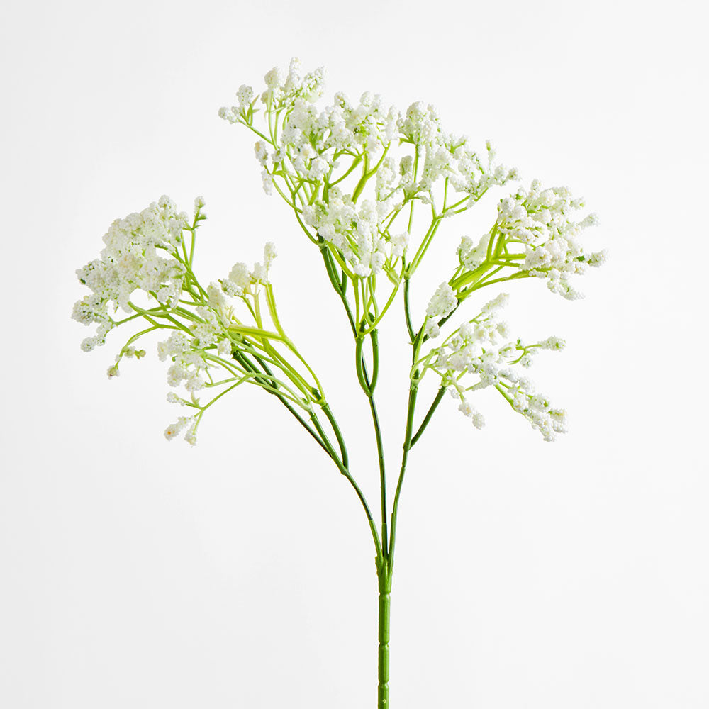 Baby's Breath Spray White 12 pcs