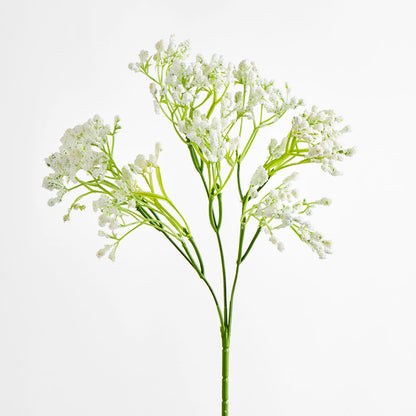 Baby's Breath Spray White 12 pcs