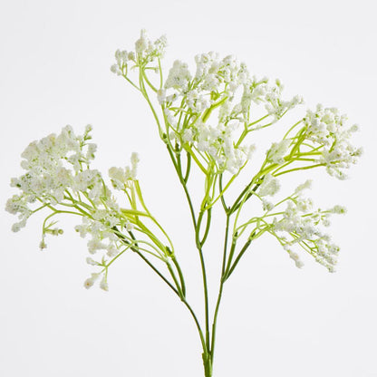 Baby's Breath Spray White 12 pcs