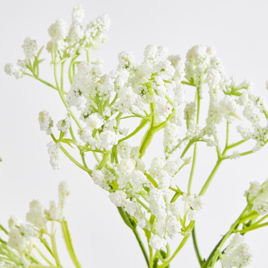 Baby's Breath Spray White 12 pcs