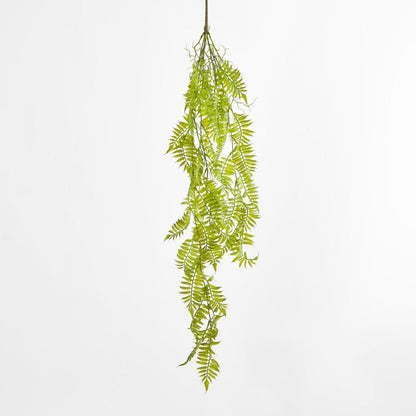 Hanging Fern Green 12 pcs