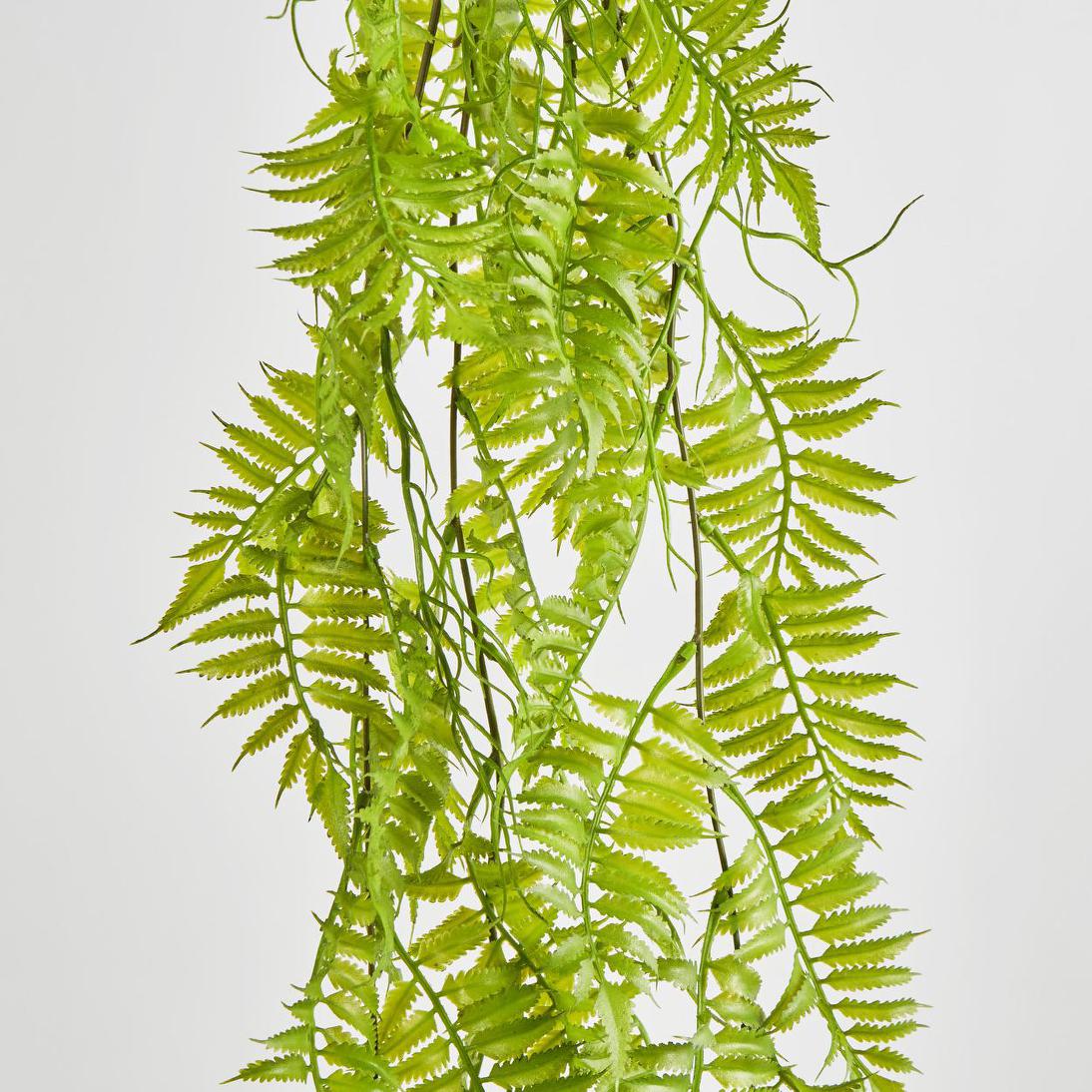 Hanging Fern Green 12 pcs