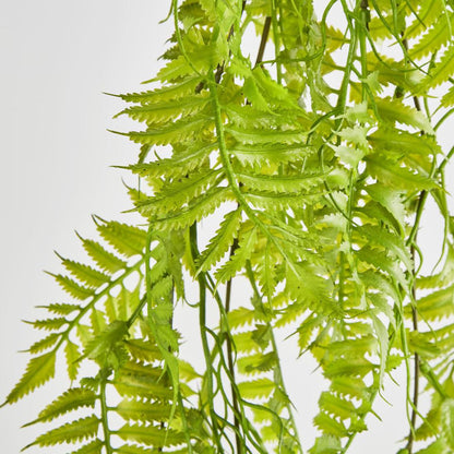 Hanging Fern Green 12 pcs