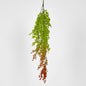 Hanging Eucalyptus Green Red 12 pcs