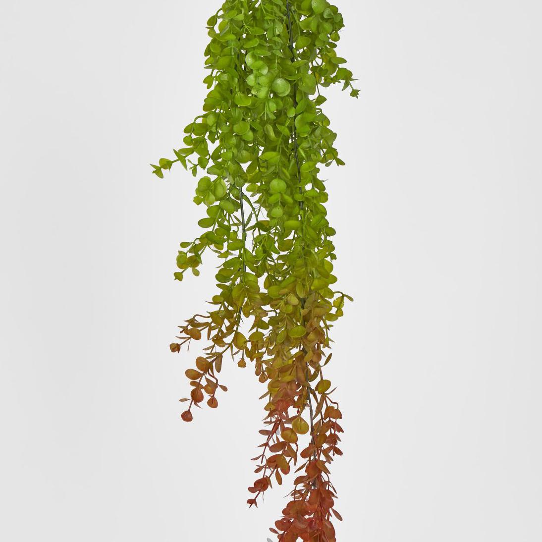 Hanging Eucalyptus Green Red 12 pcs
