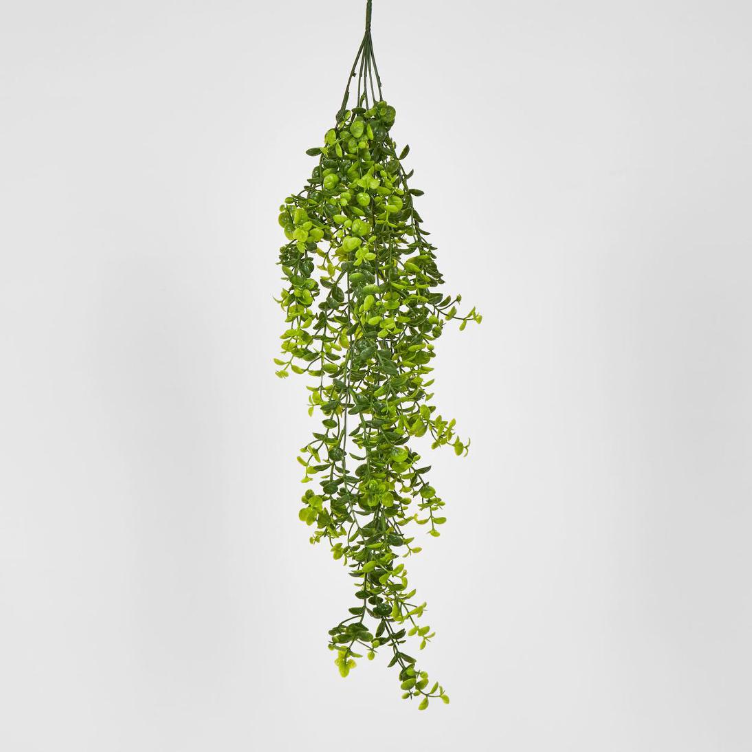 Hanging Buxus Greenery 12 pcs