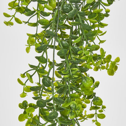 Hanging Buxus Greenery 12 pcs