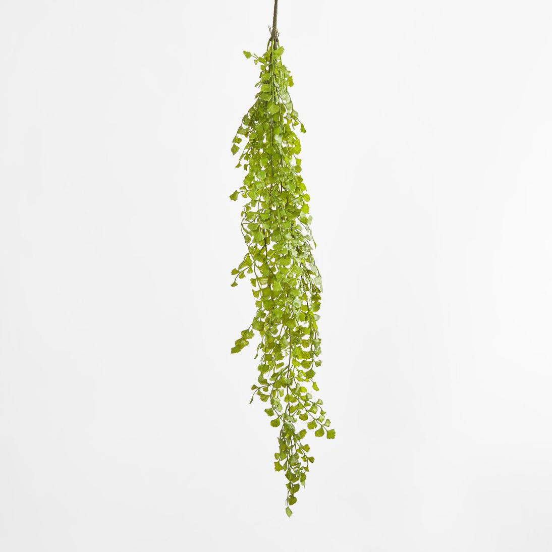 Button Hanging Fern 12 pcs
