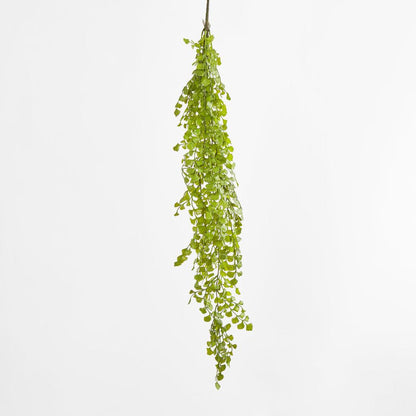 Button Hanging Fern 12 pcs