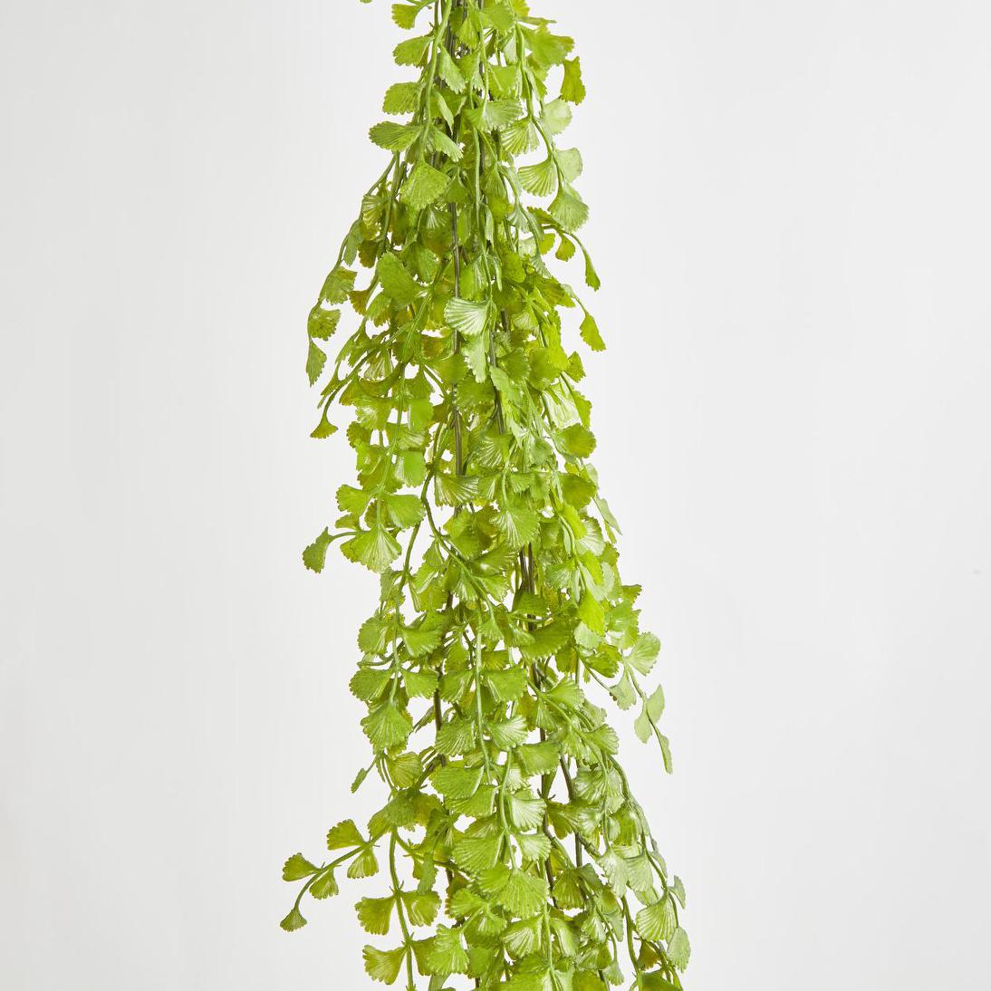 Button Hanging Fern 12 pcs