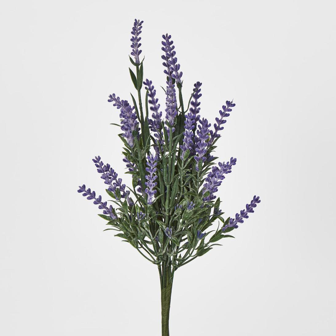 Lavender Bush Dark Purple 12 pcs