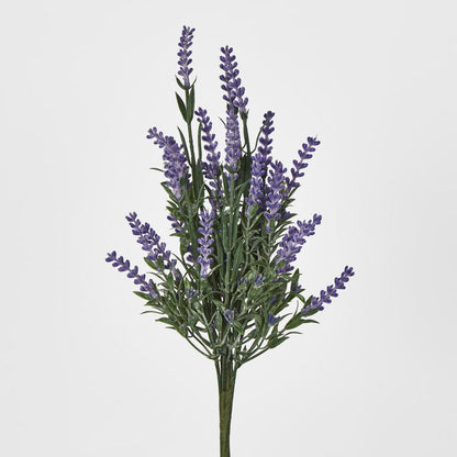 Lavender Bush Dark Purple 12 pcs