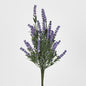 Lavender Bush Dark Purple 12 pcs