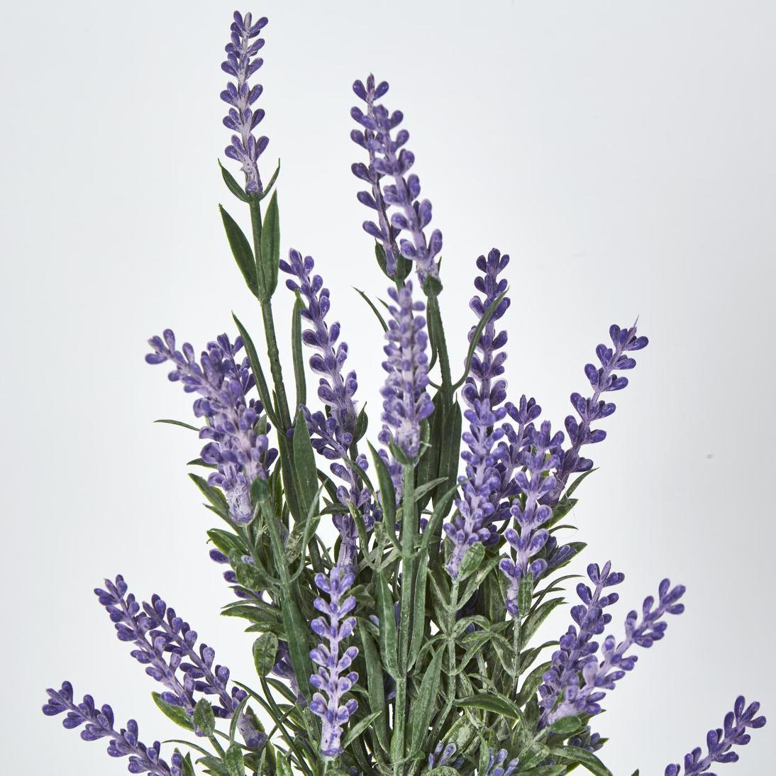 Lavender Bush Dark Purple 12 pcs