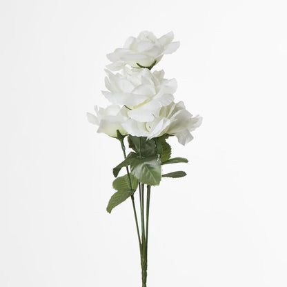 Rose Bush Asstd AB Box of 60 30 pcs